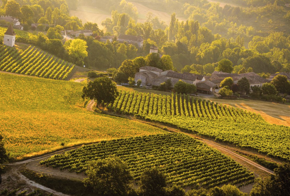 Vignobles de Gaillac